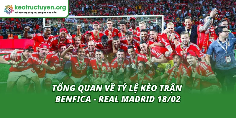 Tỷ Lệ Kèo Trận Benfica - Real Madrid 18/02: Bản Lĩnh Nhà Vua Cái nhìn tổng quan về tỷ lệ kèo trận Benfica - Real Madrid 18/02