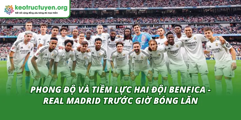 Tỷ Lệ Kèo Trận Benfica - Real Madrid 18/02: Bản Lĩnh Nhà Vua Phong đội hai đội trong tỷ lệ kèo trận Benfica - Real Madrid 18/02